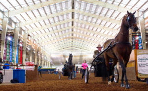 oklahoma state fair warm up super barn